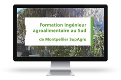 Formation ingénieur Agroalimentaire au sud de Montpellier - SupAgro