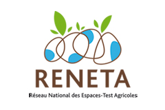 Logo Reneta
