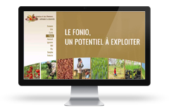 IRD - Vidéo sur le fonio