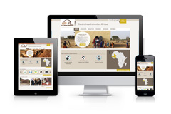 Site La voute nubienne