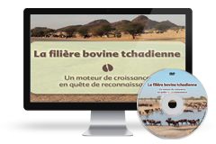 Filière bovine tchadienne