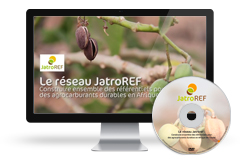 Le Réseau JatroREF