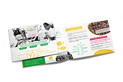 Plaquette Réseau Marguerite