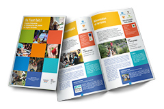 DRAAF - Fiches cantines