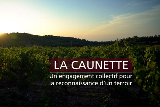Film La caunette