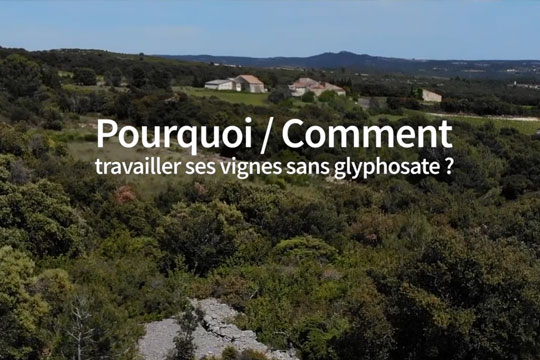Travailler ses vignes sans glyphosate