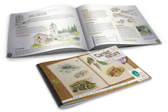 Guide du Parc Naturel du Haut Languedoc