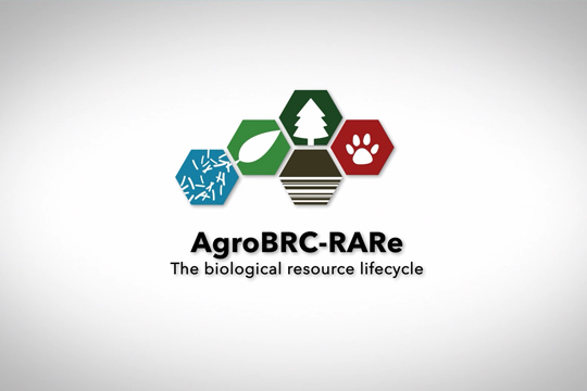 Méta-réseau de recherche RARe