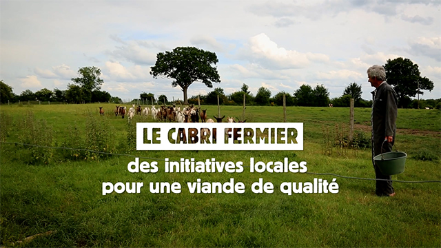 Le cabri fermier, des initiatives locales pour une viande de qualité
