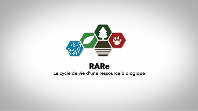 Le cycle de vie d’une ressource biologique