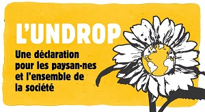 UNDROP