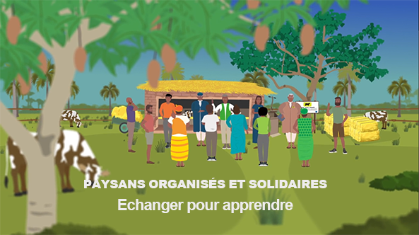 Films d’animation : Paysans organisés et solidaires
