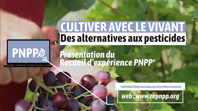 Film de présentation d’un site web