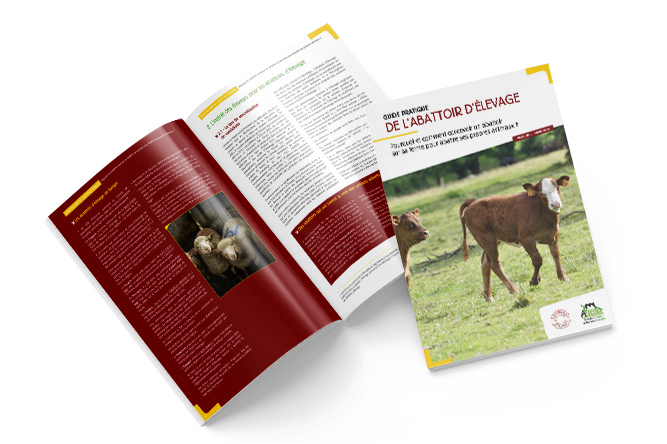 Guide et flyer sur l’abattage d’élevage