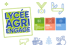 Charte graphique du site 