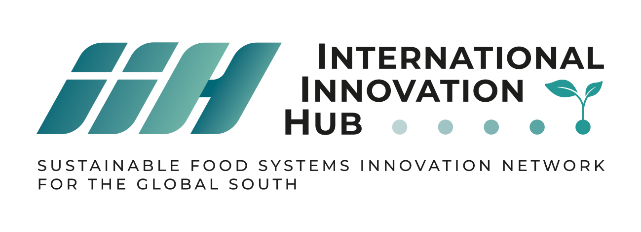 Logo  International Innovation Hub