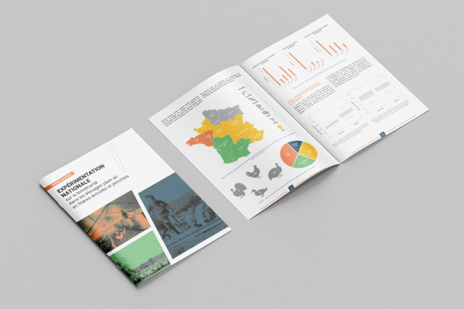 Fadear - Rapport 