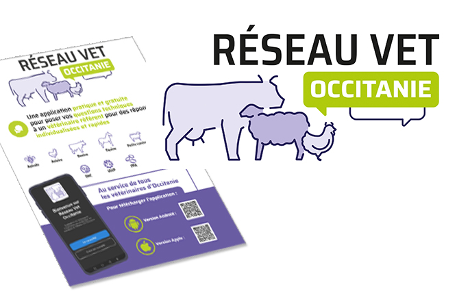 Réseau Vet Occitanie - Logo et flyer