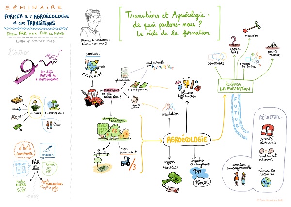 Fresques dessinées et croquis - colloque réseau FAR