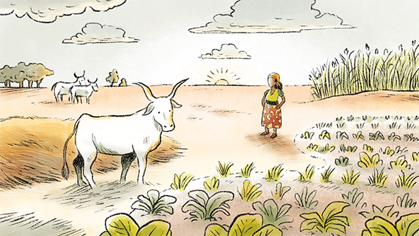 Présentation de l’AFDI