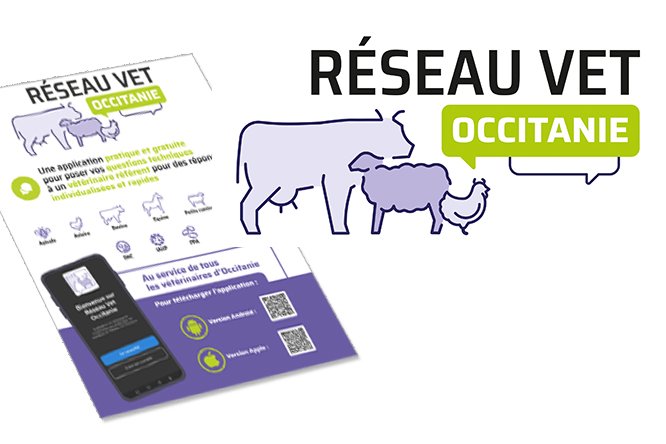 Réseau Vet Occitanie - Logo et flyer