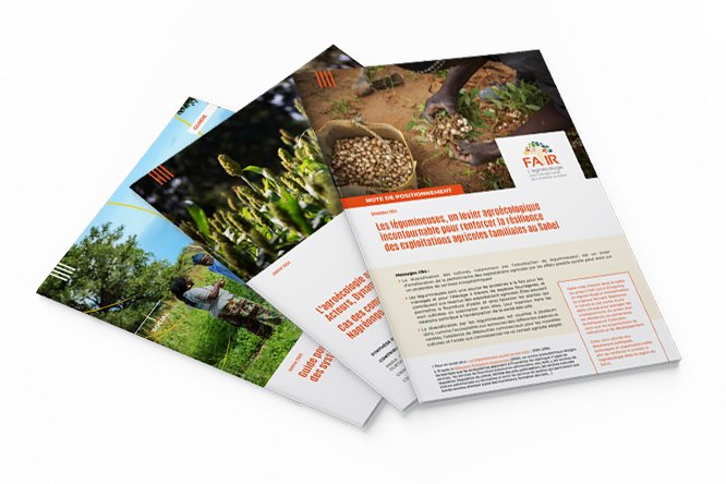 Les documents de Fair Sahel