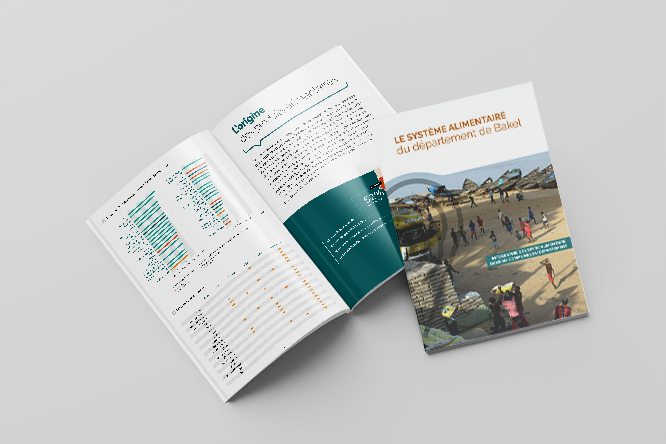 Grdr - Rapport/infographies sur l’offre alimentaire au Sénégal