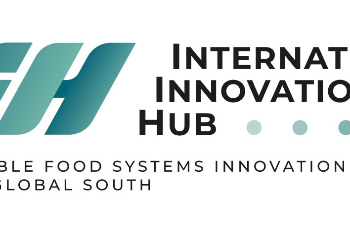 Logo  International Innovation Hub