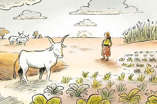 Présentation de l’AFDI