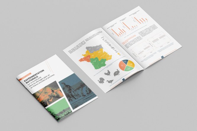 Fadear - Rapport 